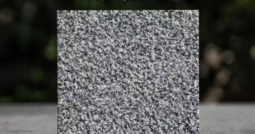 长沙 芝麻黑荔枝面